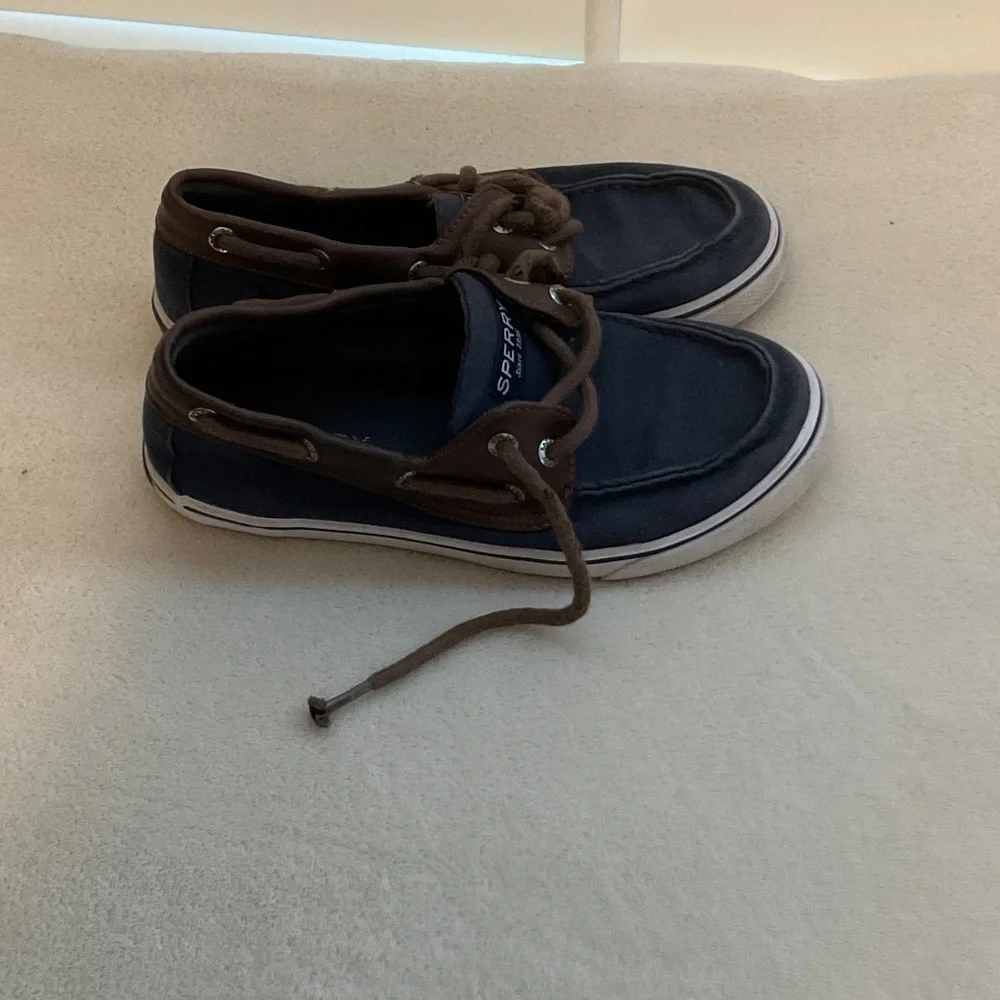 Sperry Men's Navy and Brown Boat Shoes